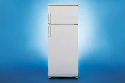  Refrigerator expert_repair